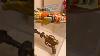 Blast From The Past Vintage Space Toys That Imagined The Future Buckrogers Vintage Museum