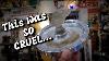 The Gods Of Vintage U0026 Antiques Were Cruel Today Shop With Me For Collecting U0026 Resale